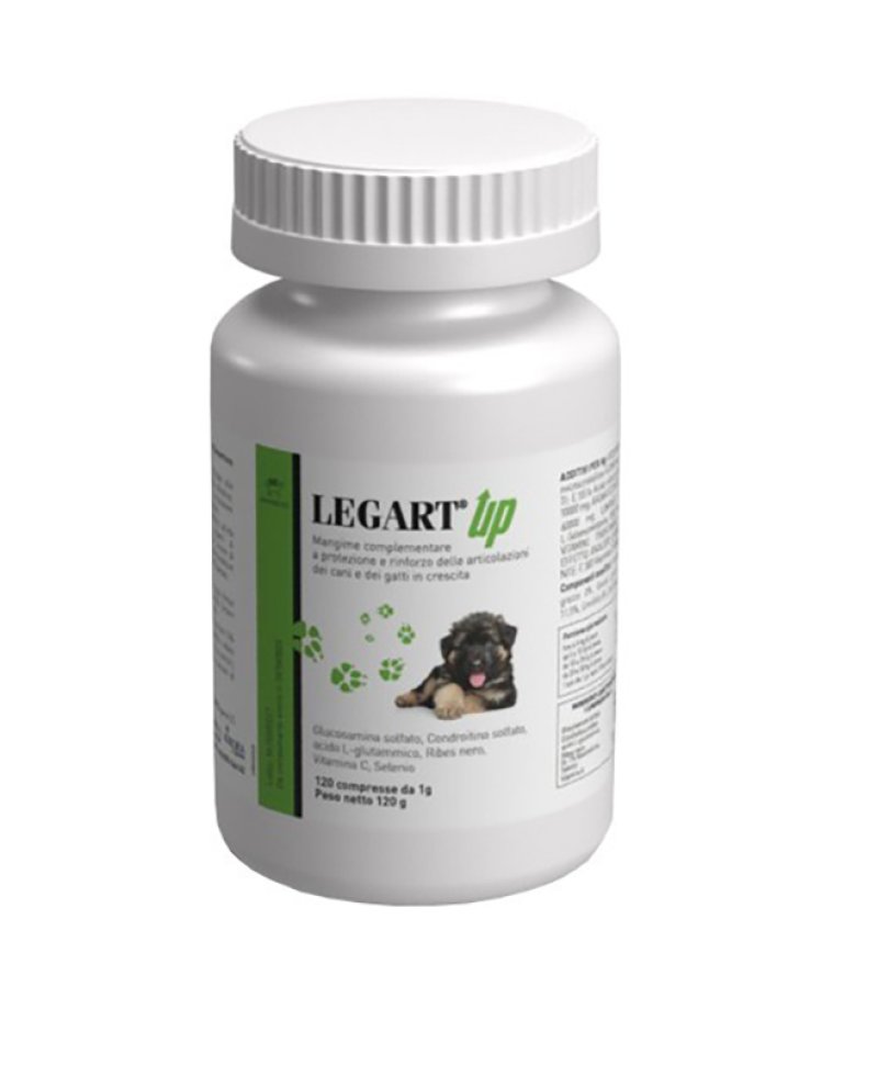 LEGART UP 120CPR