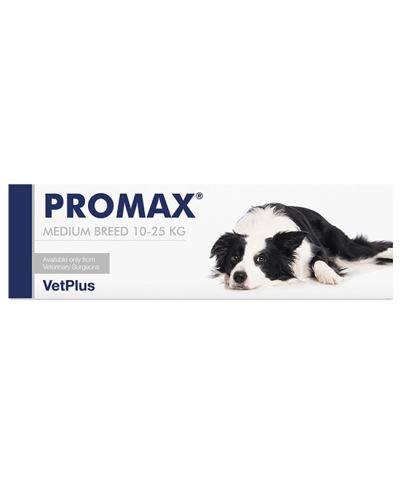 PROMAX MEDIUM BREED 18ML