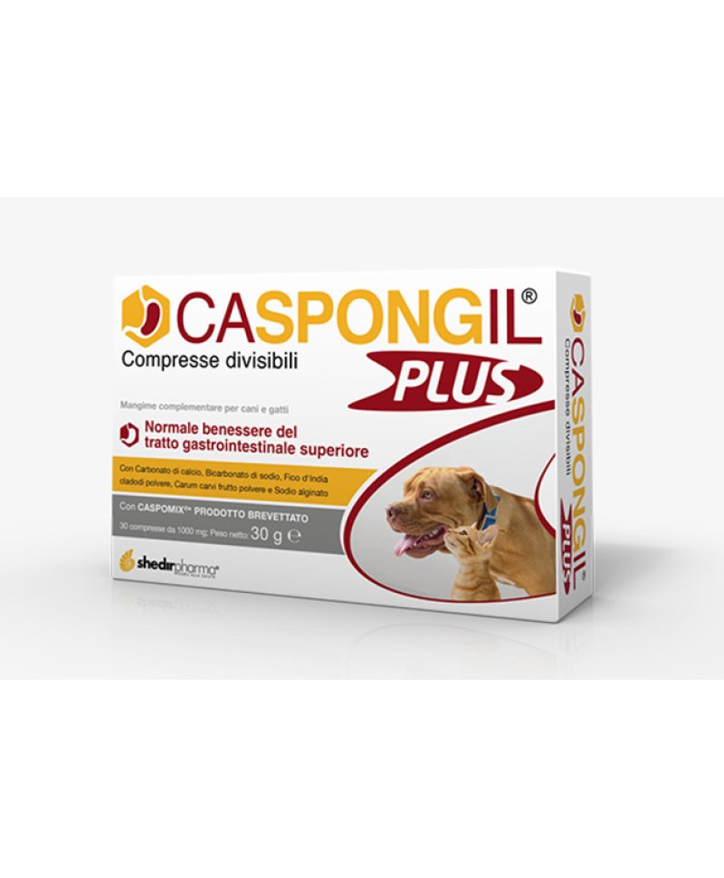 CASPONGIL PLUS 30 Compresse