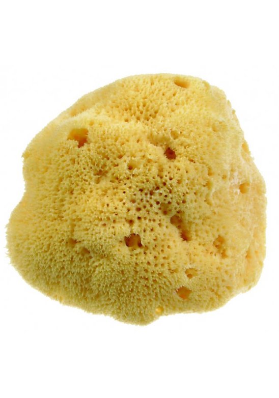 BEAUTYTIME SPUG NAT DAMA M