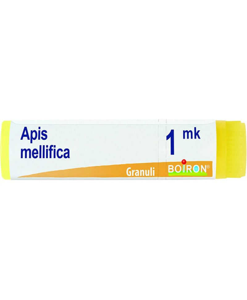 APIS MELLIFICA MK GL