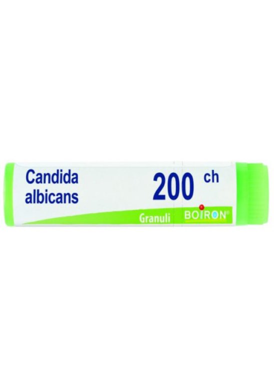 CANDIDA ALBICANS 200CH GL