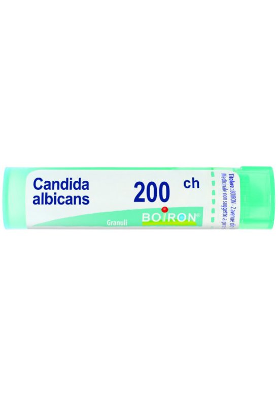 CANDIDA ALBICANS 200CH GR