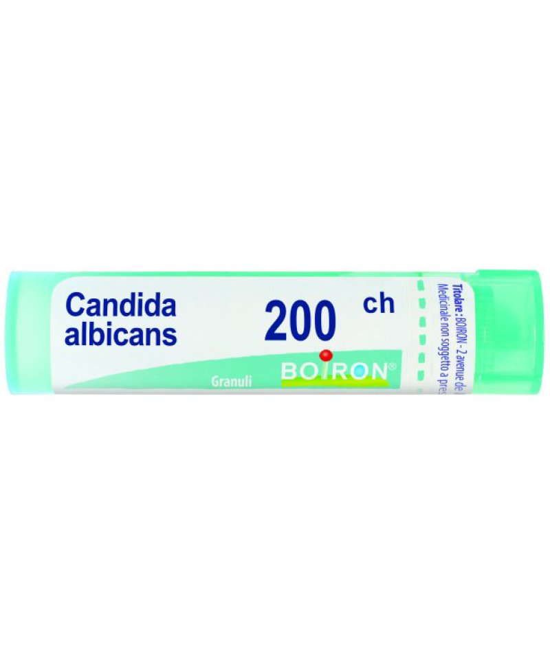 CANDIDA ALBICANS 200CH GR