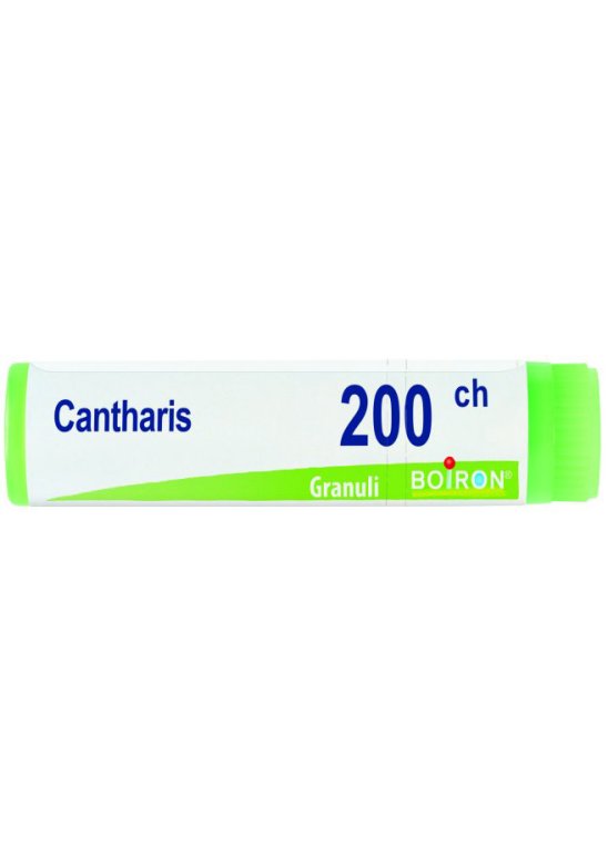 CANTHARIS 200CH GL