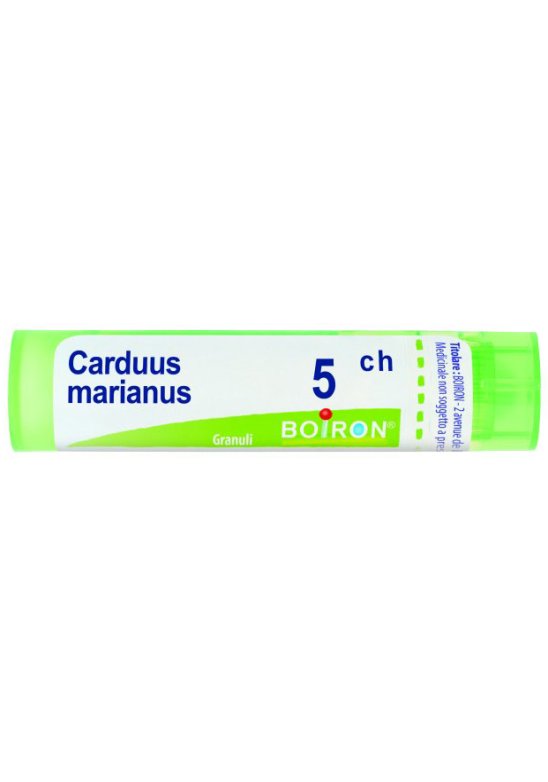 CARDUUS MARIANUS 5CH GR