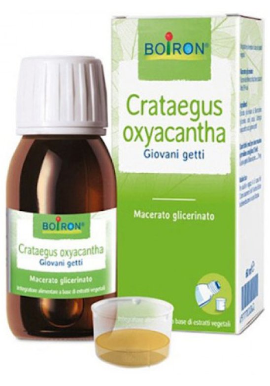 CRATAEGUS OXYACANTHA 60ML TM