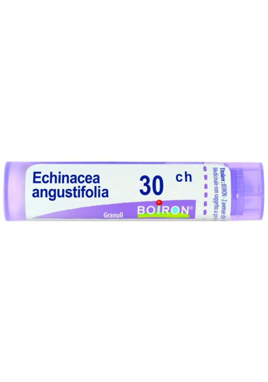 ECHINACEA ANGUST 30CH GR