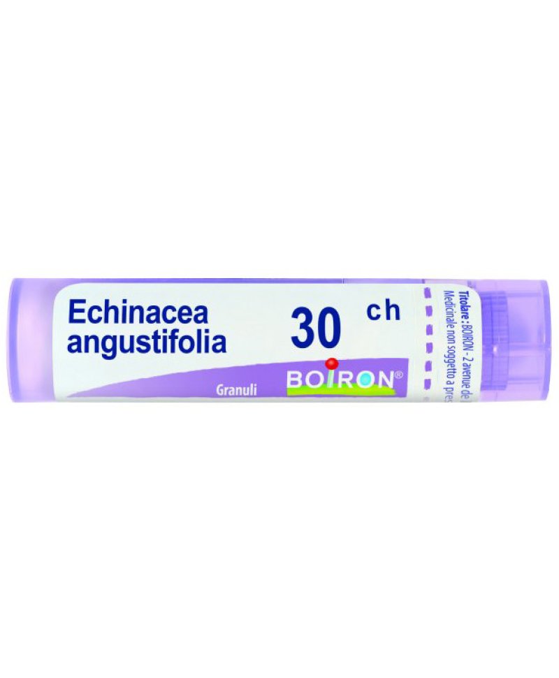 ECHINACEA ANGUST 30CH GR