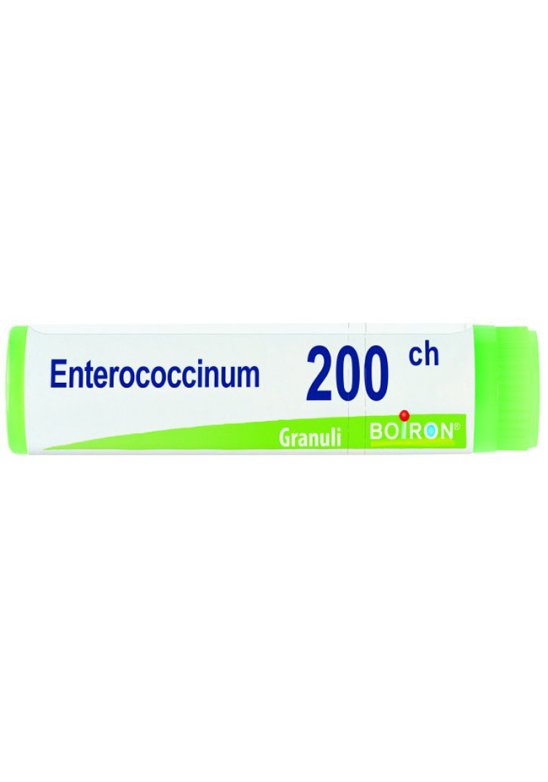 ENTEROCOCCINUM 200CH GL