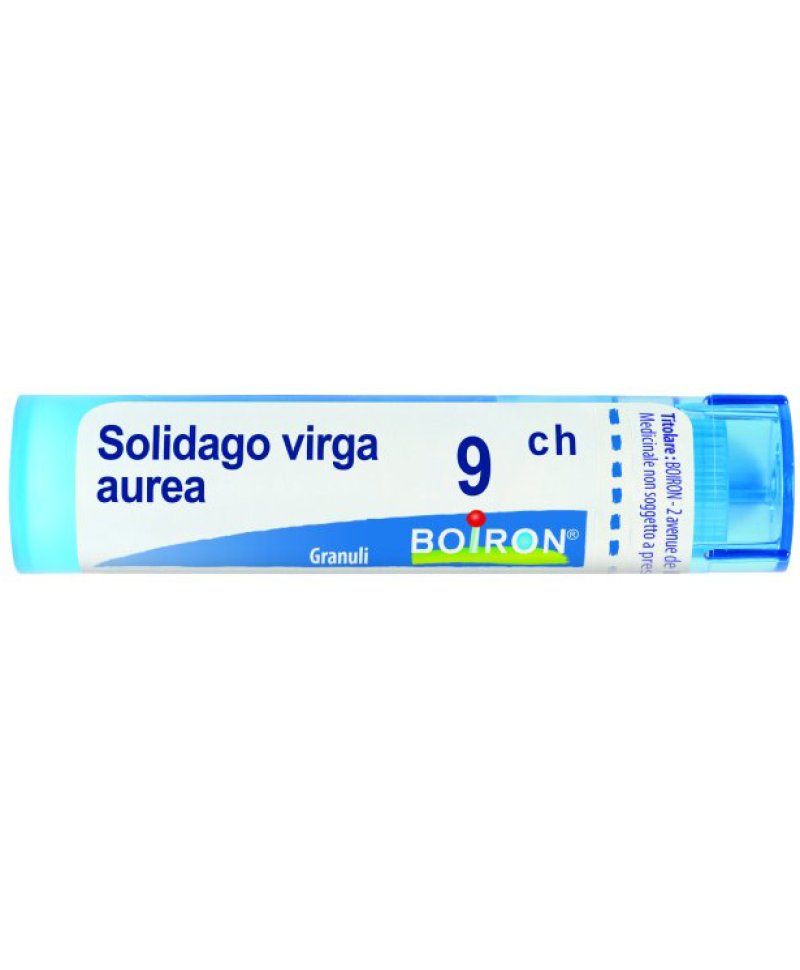 SOLIDAGO VIRGA AUREA 9CH GR