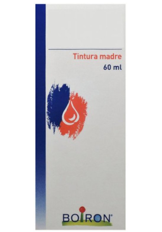 TARAXACUM 60ML TM