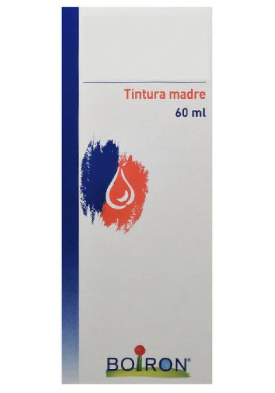 THUYA OCCIDENT 60ML TM