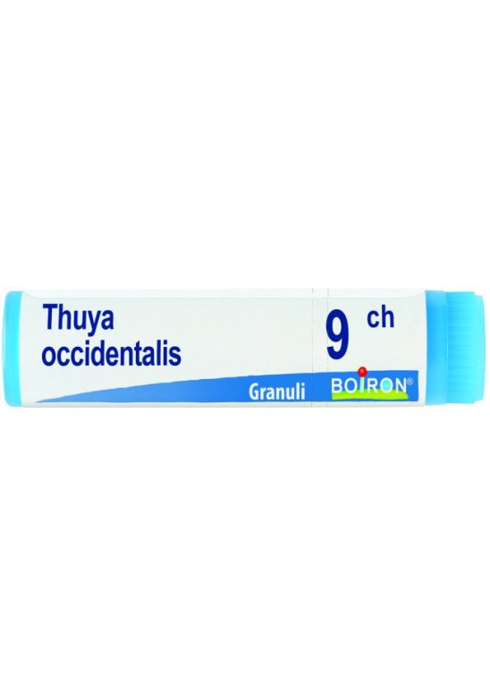 THUYA OCCIDENT 9CH GL