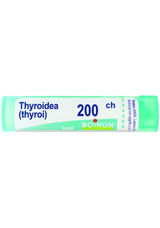 THYROIDINUM 200CH GR