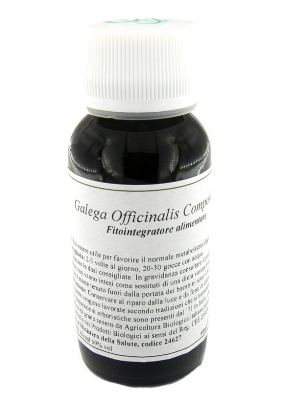 STODDARD 13N GALEGA OFF 60ML