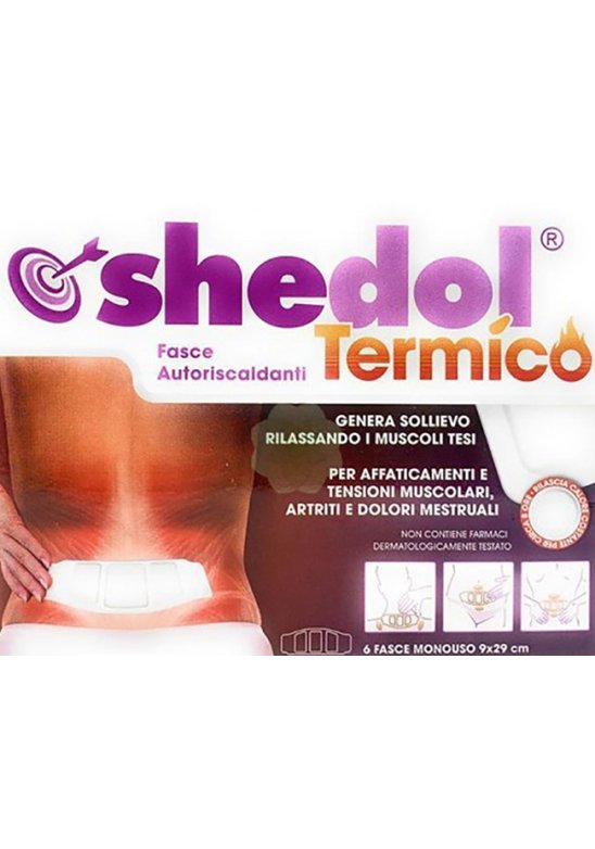 SHEDOL TERMICO CER 6PZ