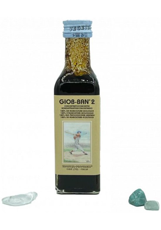 GIOB BAN 2 ART ESTR CONC 100ML