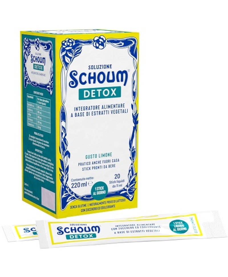 SOLUZIONE SCHOUM DETOX 20STICK