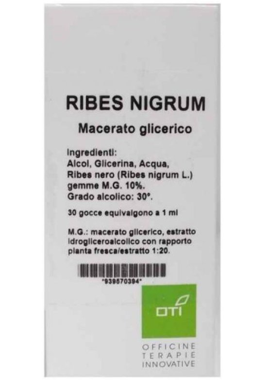 RIBES NIGRUM MG10% GOCCE 100ML