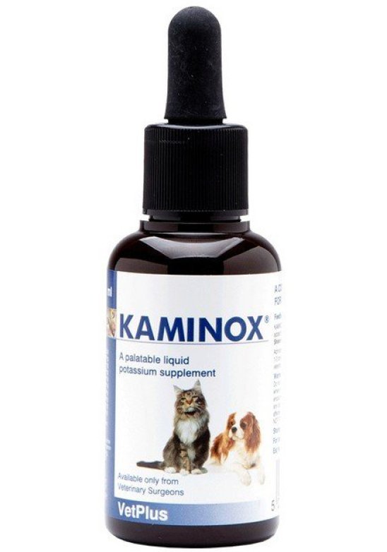 KAMINOX SCIROPPO 60 ML