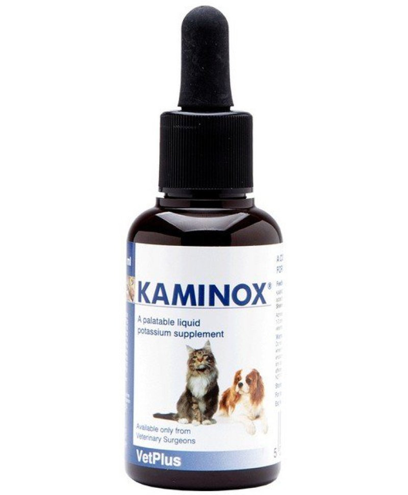 KAMINOX SCIROPPO 60 ML