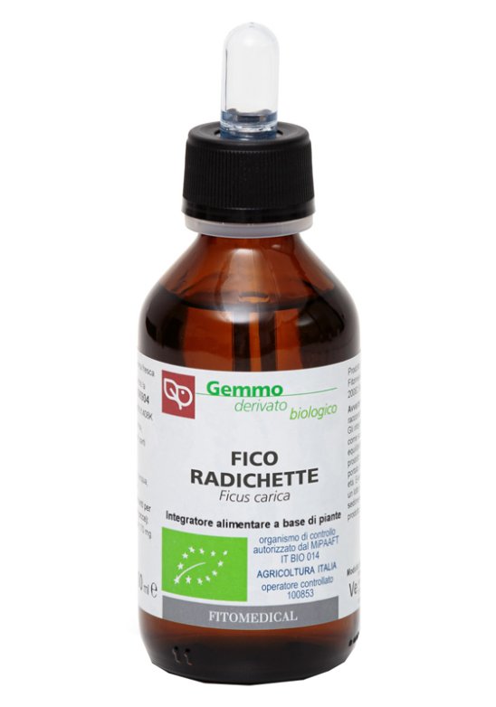 FICO RADICHETTE MG 100ML BIO