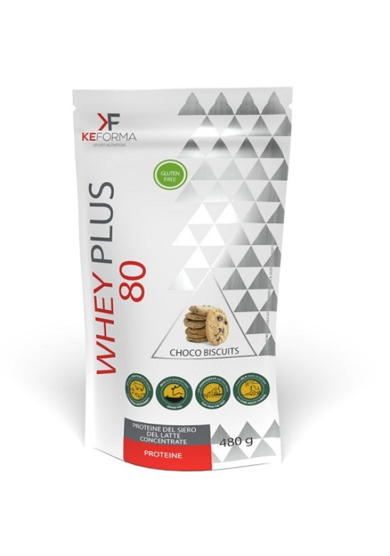 WHEY PLUS 80 CHOCO BISCUIT480G