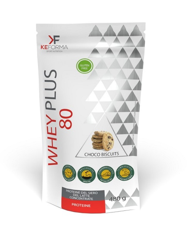 WHEY PLUS 80 CHOCO BISCUIT480G