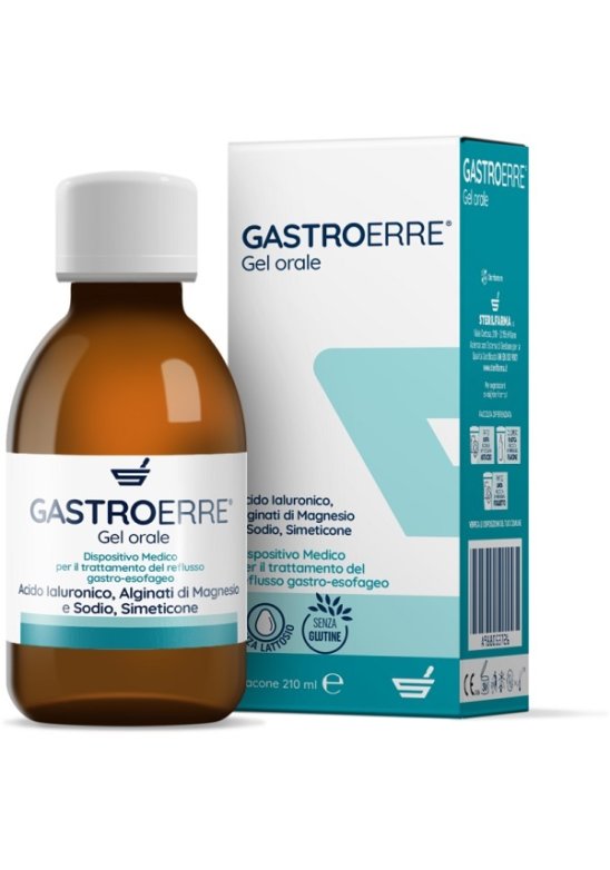 GASTROERRE 210ML