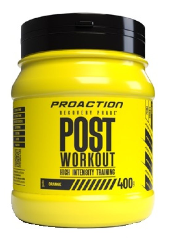 PROACTION FIT POST WORKOUT 400GR