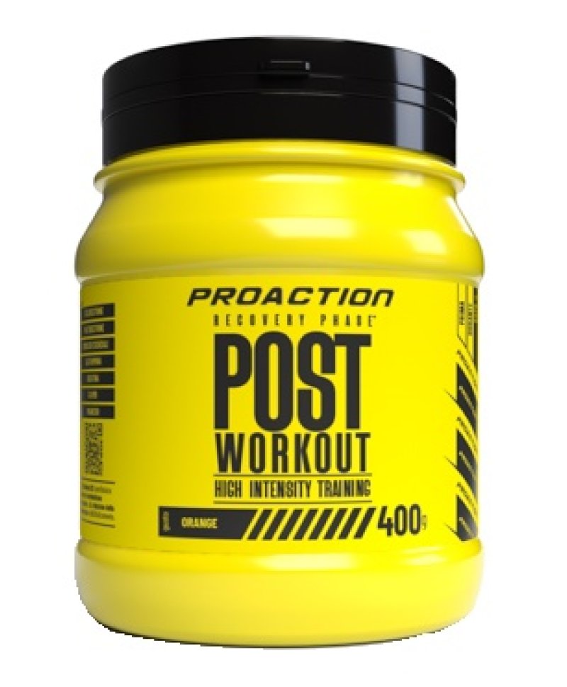 PROACTION FIT POST WORKOUT 400GR