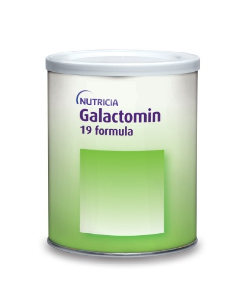 GALACTOMIN 19 400G