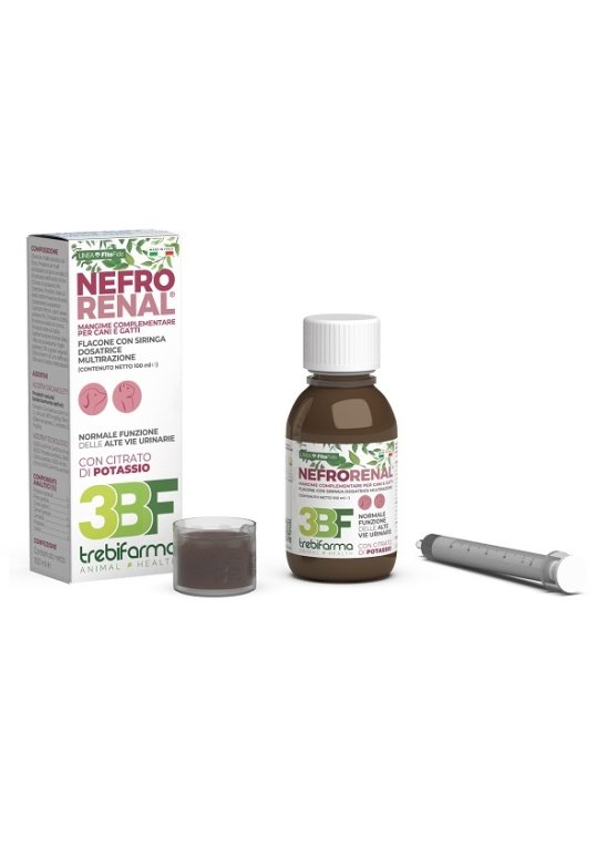 V NEFRORENAL 100ML