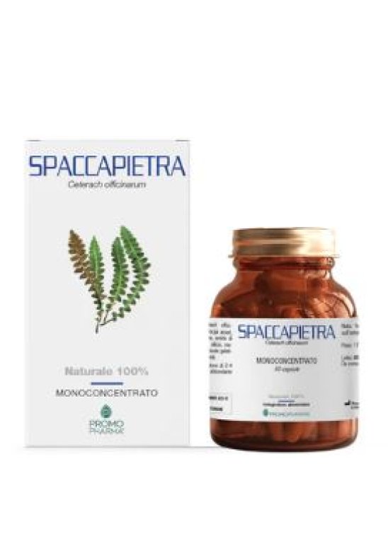 SPACCAPIETRA 50 Capsule