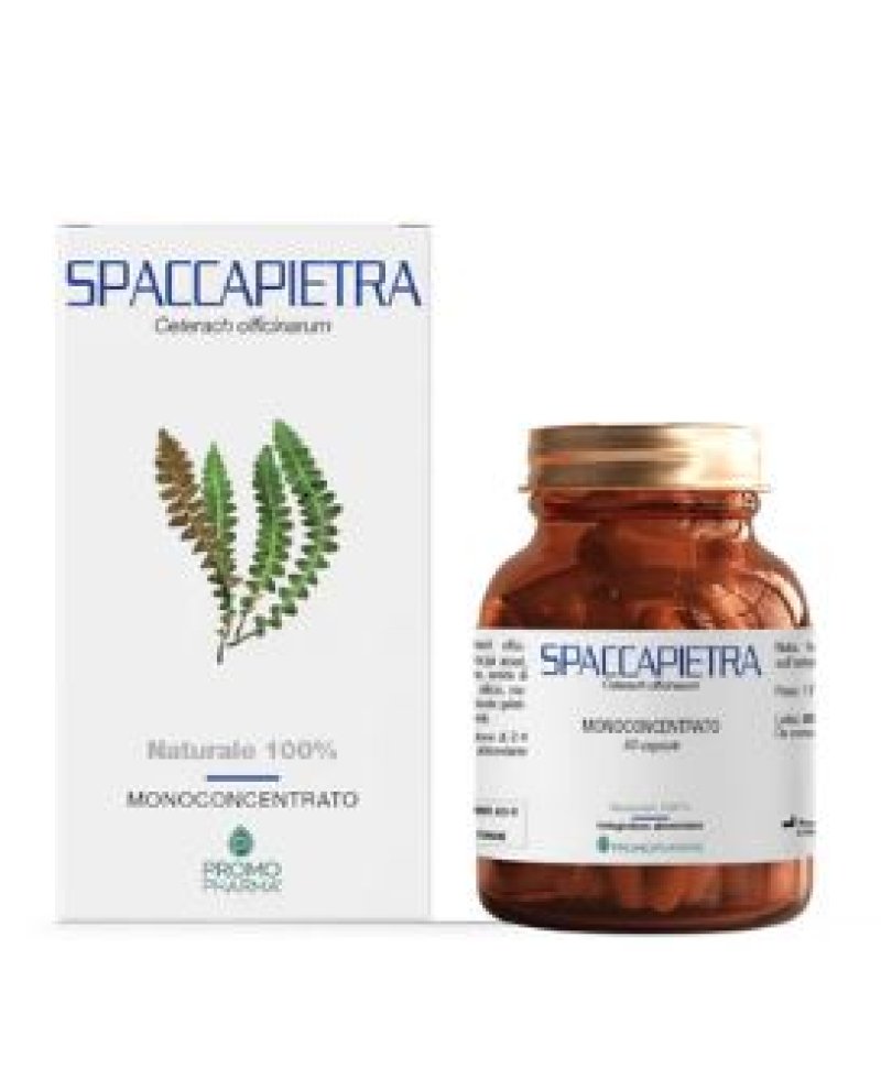 SPACCAPIETRA 50 Capsule