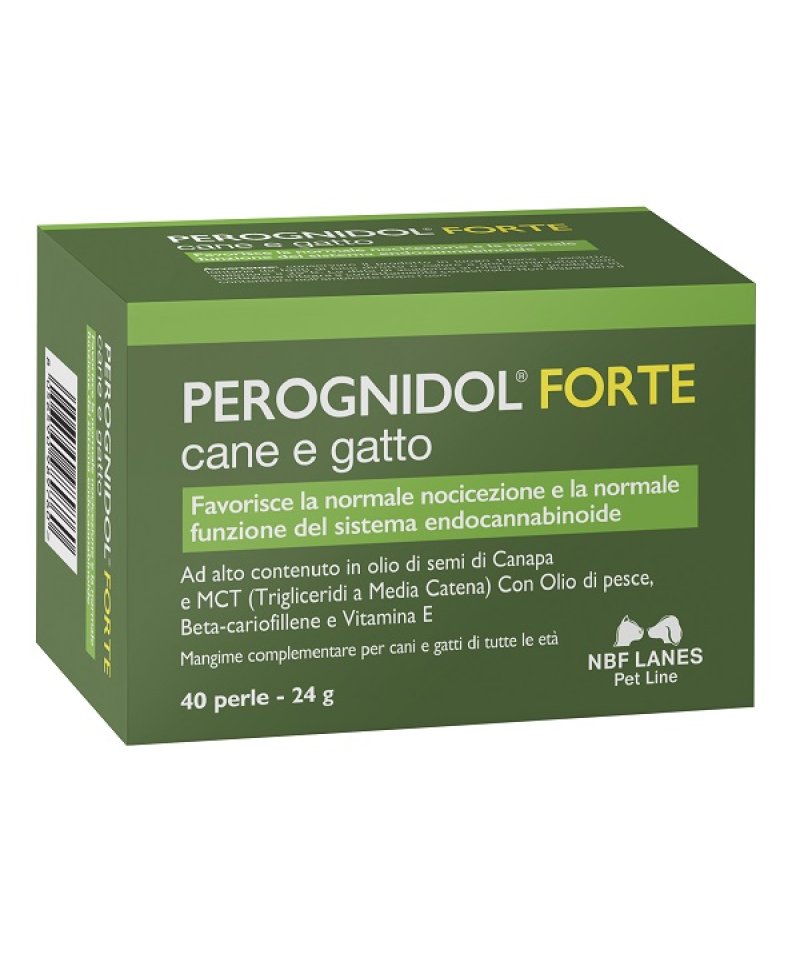 V PEROGNIDOL FORTE PERLE CANE/GA