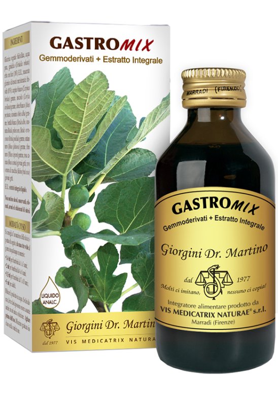 GASTROMIX LIQUIDO ANALC 100ML