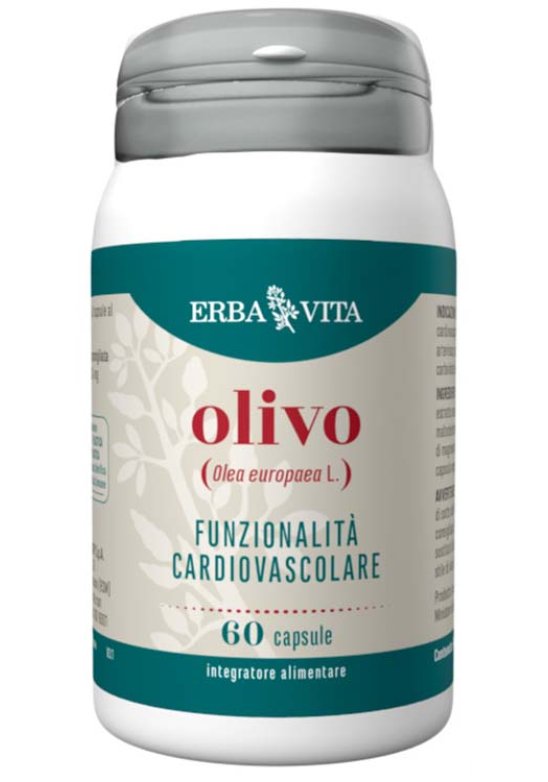 OLIVO 60CPS