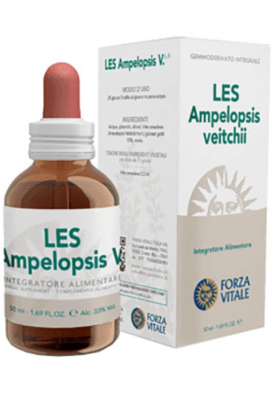 LES AMPELOPSIS WEITCHII GOCCE LES AMPELOPSIS WEITCHII GOCCE
