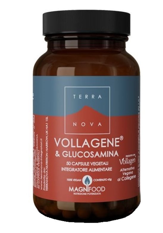 TERRANOVA VOLLAGENE&GLUCO50CPS TERRANOVA VOLLAGENE&GLUCO50CPS