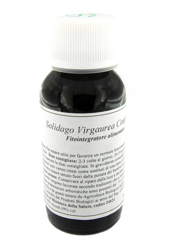 LVS 07N SOLIDAGO VIRGAURE COMP