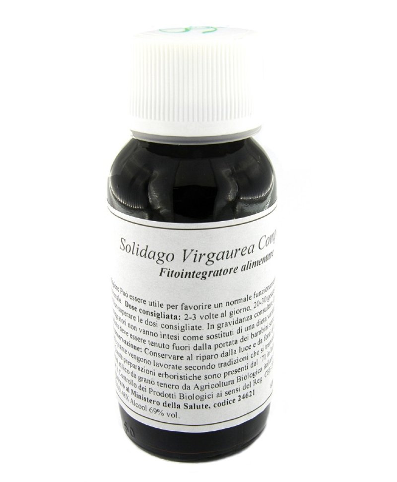 LVS 07N SOLIDAGO VIRGAURE COMP