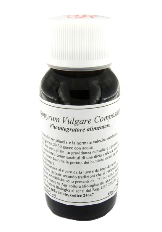 LVS 33S FAGOPYRUM VULGARE COMP