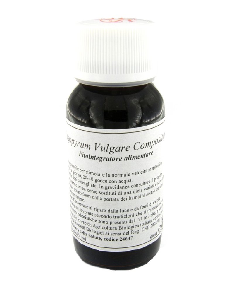 LVS 33S FAGOPYRUM VULGARE COMP