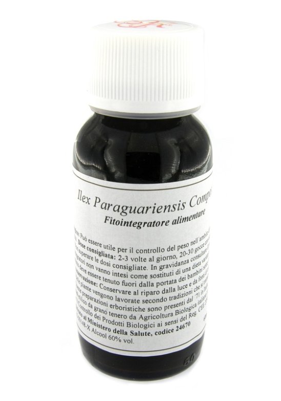 LVS 63S ILEX PARAGUARIENS COMP