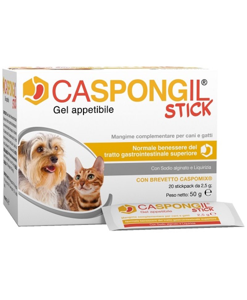 V CASPONGIL STICK GEL 20STICKPAC