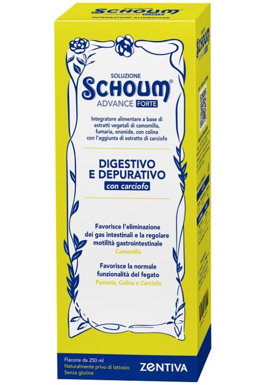 SOLUZIONE SCHOUM ADVANCE FORTE 2
