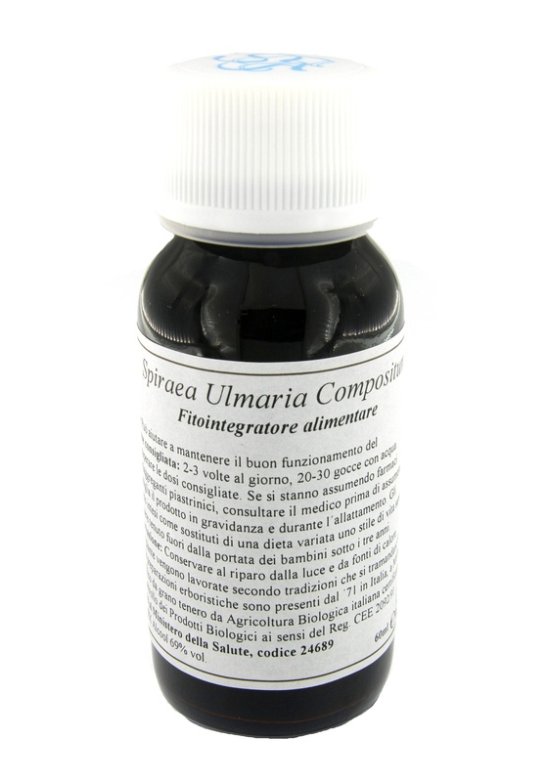 LVS 89C SPIRAEA ULMARIA COMP