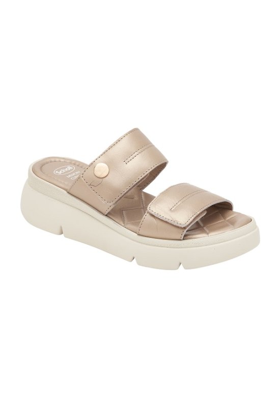 BALI 2 STRAPS 25 LAM W PLAT 37